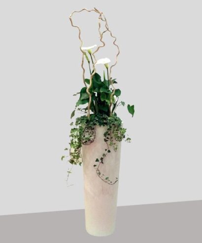 New pot