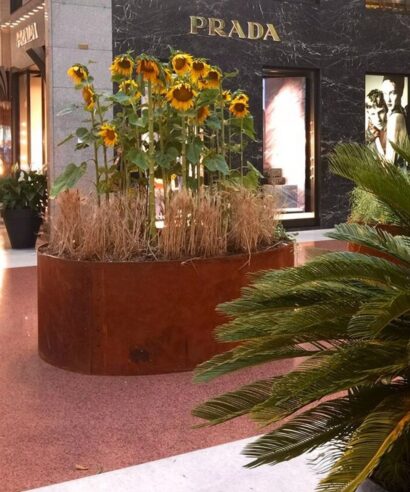 Vasi corten